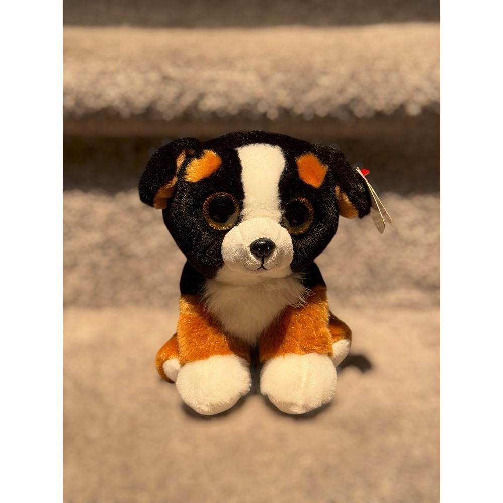 Ty Beanie Baby - ROSCOE the Bernese Mountain Dog (6 Inch) NEW MWMTs Stuffed Toy
